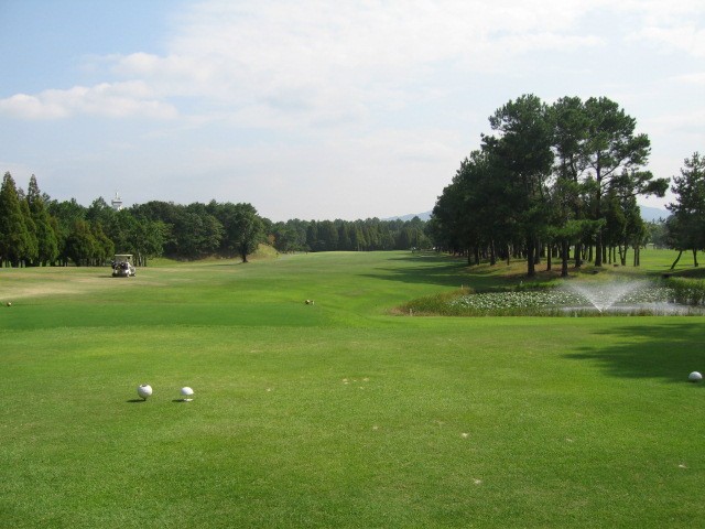 68328000_1781058116.jpg