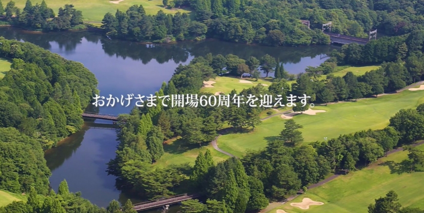 43256400_1785474628.png