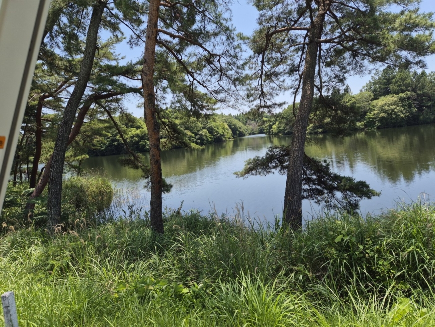 86620500_1785474650.jpg